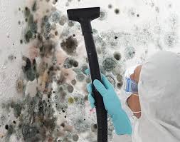 Best Black Mold Removal  in Arta, CA